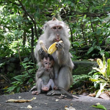 Pondok Penestanan Villa Ubud Bagian luar foto