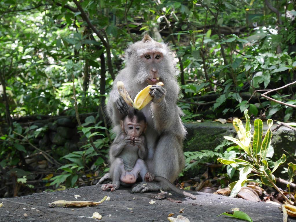 Pondok Penestanan Villa Ubud Bagian luar foto