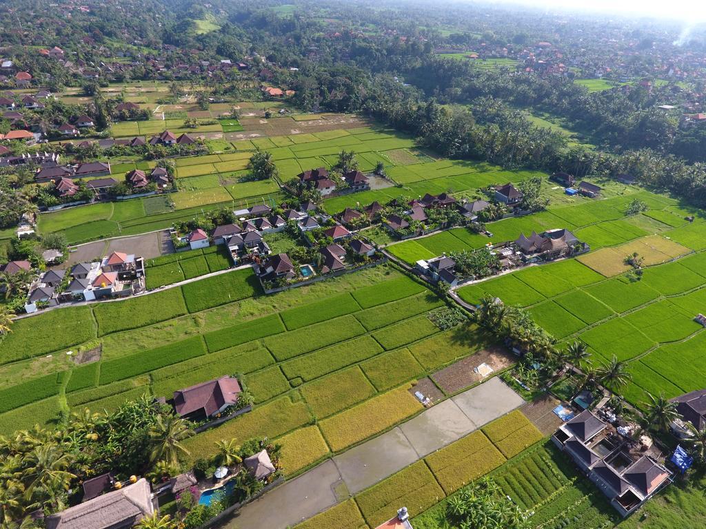 Pondok Penestanan Villa Ubud Bagian luar foto